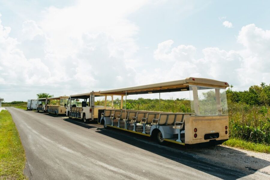 From Miami: Everglades Airboat Ride and Nature Walk - The Park Walk: Tropical Hardwood Hammock and Wildlife Time