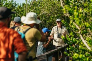 From Miami: Everglades Airboat Ride and Nature Walk - The Ecosystem Lesson That Makes the Gators Make Sense