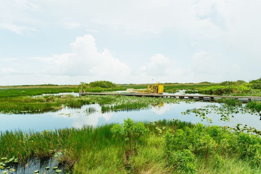 From Miami: Everglades Airboat Ride and Nature Walk - Airboat Time: Gliding Through Grasses for Close Alligator Viewing