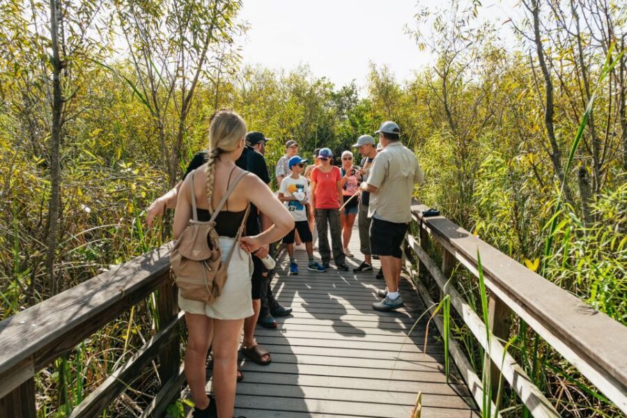 From Miami: Everglades Airboat Ride and Nature Walk - Price and Value: What $189 Includes (and Why That Matters)