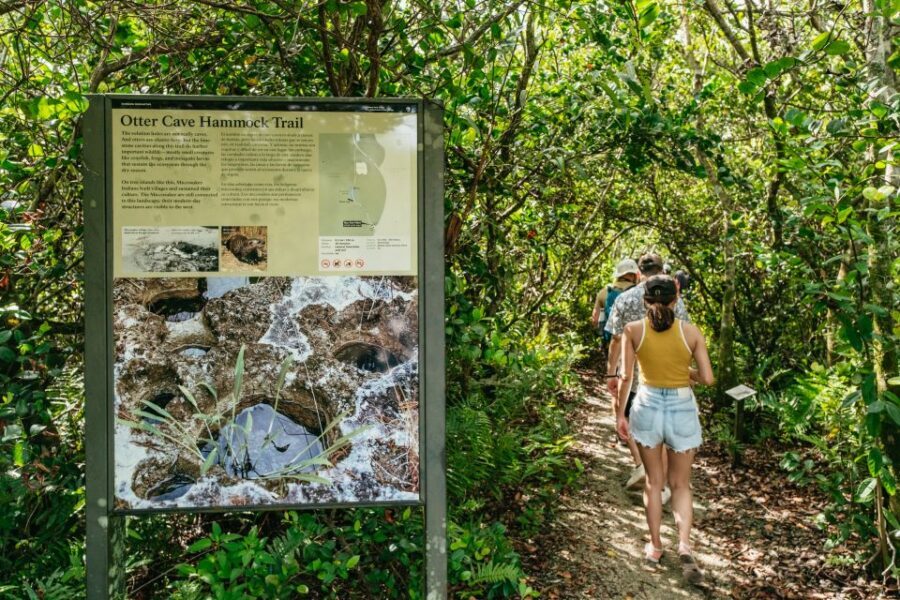 From Miami: Everglades Airboat Ride and Nature Walk - Who This Tour Is For (and Who Might Prefer Something Else)