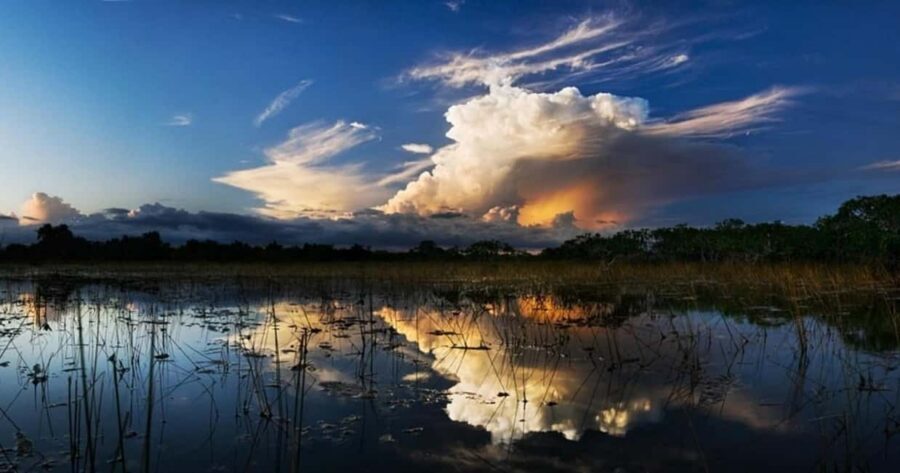 From Miami: Everglades at Night with Guided Airboat Tour - Key things to know before you go