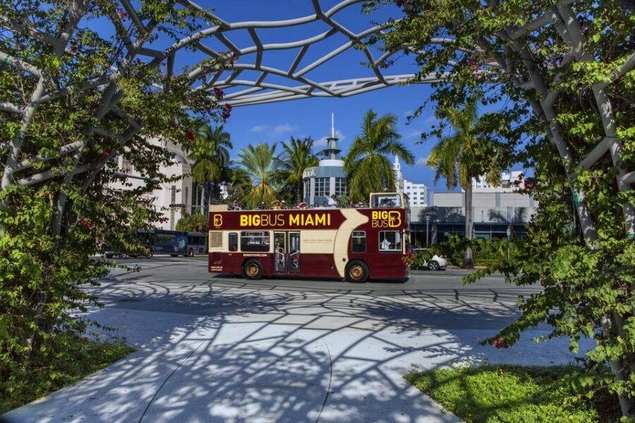 From Miami: Everglades, Wildlife Show, & Hop-on Hop-off Tour - Who should book this combo (and who should pause)
