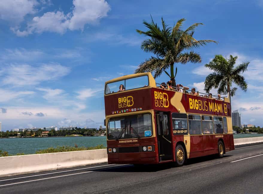 From Miami: Everglades, Wildlife Show, & Hop-on Hop-off Tour - Miami sightseeing stops: how to plan your hop-on day