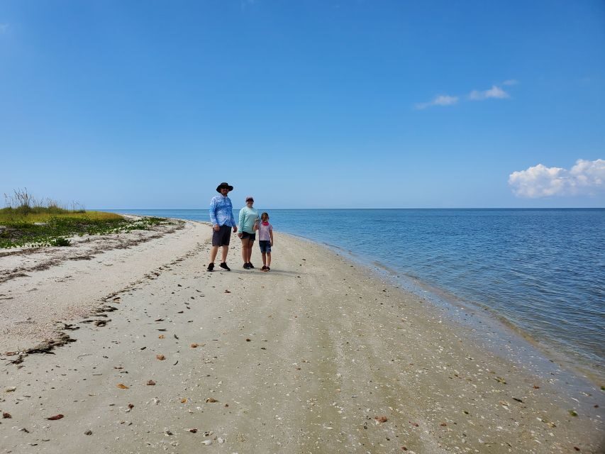 From Naples: 10,000 Islands Boat Trip & Everglades Walk! - National park value: fees included and park stamps