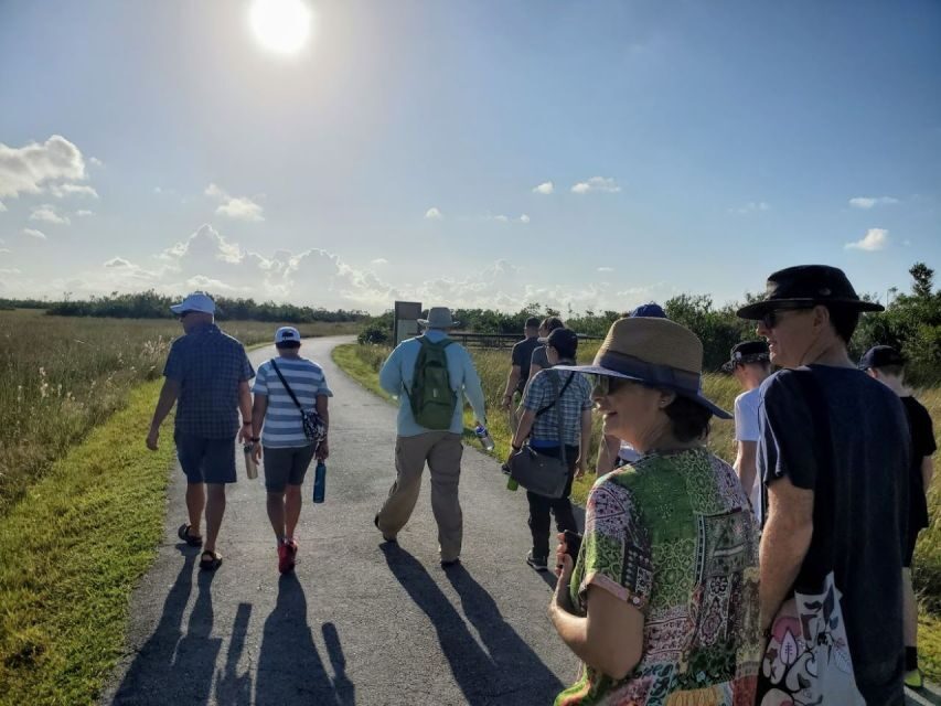 From Naples: 10,000 Islands Boat Trip & Everglades Walk! - Price check: what $149 buys you in the real world