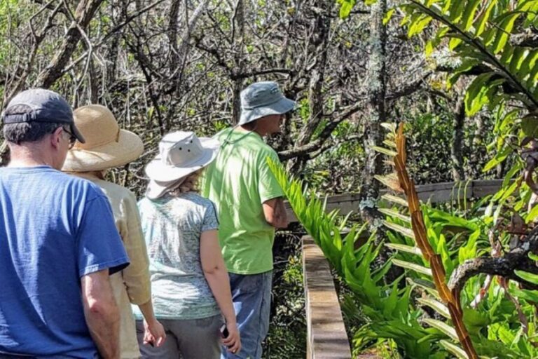 From Naples: 10,000 Islands Boat Trip & Everglades Walk! - 80 minutes of marine wildlife: dolphins, manatees, and more