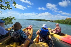 Guided Mangrove Eco Tours Kayak or Paddleboard Adventure - Kayak vs Paddleboard: What You Get and How to Choose