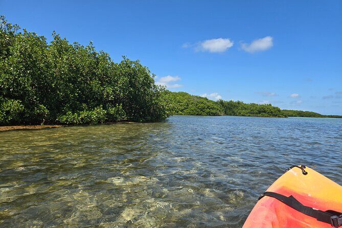 Guided Mangrove Eco Tours Kayak or Paddleboard Adventure - Meeting Kristen: How the Guide Keeps It Friendly and Informative