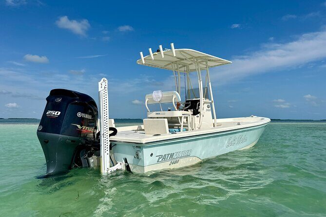 Half-Day Backcountry Fishing Charter from Key West - Where You Fish: Grassy Flats, Mangrove Islands, and Shallow Wrecks