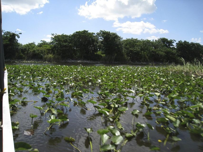 Half-Day Everglades Airboat Tours and Transportation - What’s Included (and What You’ll Want to Plan For)