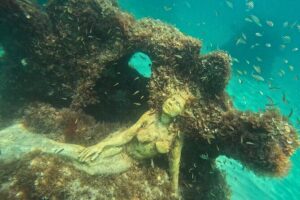 Hollywood Snorkel, Kayak & Paddleboard with Reefs and Sculptures - Meet Camila and Thiago: small-group care that keeps you calm