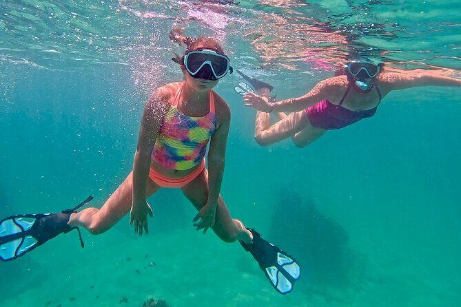 Hollywood Snorkel, Kayak & Paddleboard with Reefs and Sculptures - On-water refreshment breaks (not just a quick sip)