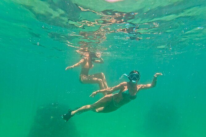 Hollywood Snorkel, Kayak & Paddleboard with Reefs and Sculptures - What the tour feels like step-by-step
