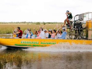 Homestead: Everglades Alligator Farm Entry and Airboat Ride - Your 20–25 minute airboat ride: spins, splashes, and wildlife spotting