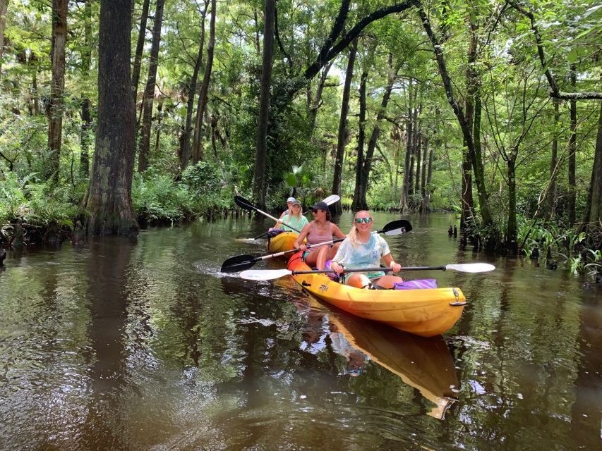 Jupiter: Wild and Scenic Loxahatchee River Kayak Tour - Key things that make this tour worth your time