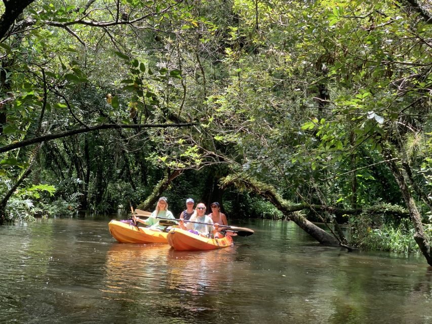 Jupiter: Wild and Scenic Loxahatchee River Kayak Tour - Paddling the Loxahatchee from Riverbend Park