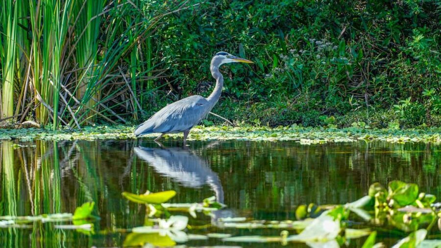 Jupiter: Wild and Scenic Loxahatchee River Kayak Tour - The Wild & Scenic story you’ll actually remember
