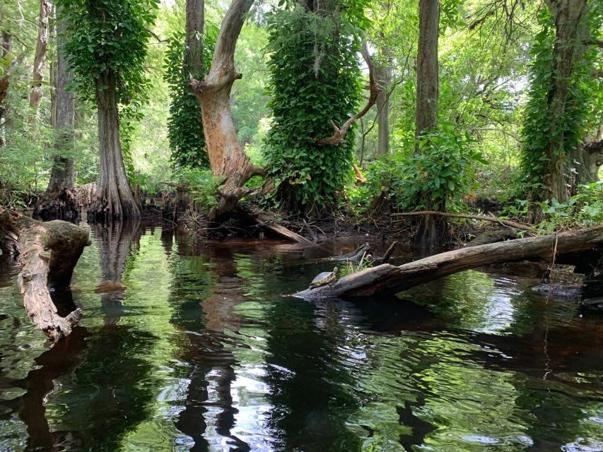 Jupiter: Wild and Scenic Loxahatchee River Kayak Tour - Group size, guides, and the separate entrance detail