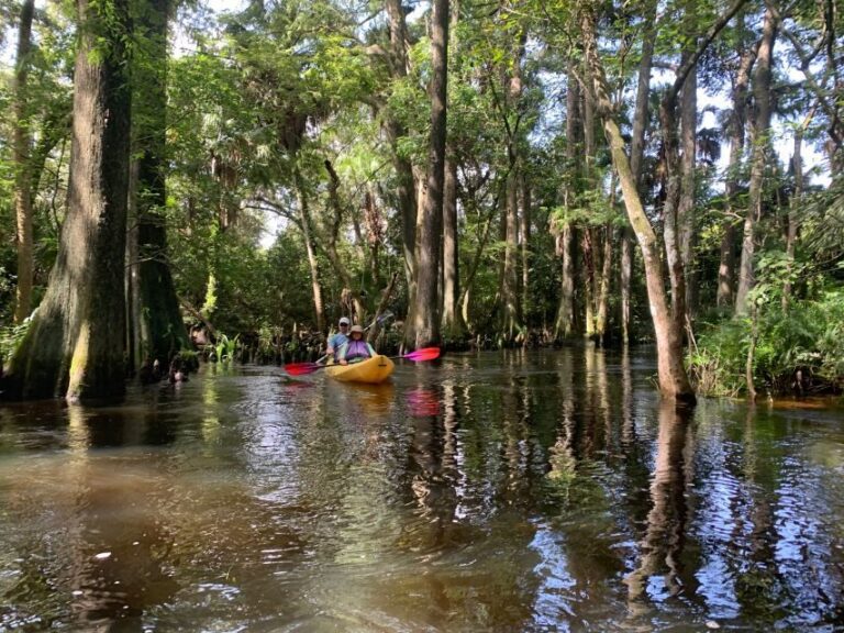 Jupiter: Wild and Scenic Loxahatchee River Kayak Tour - Two hours of shade: what the river section really feels like