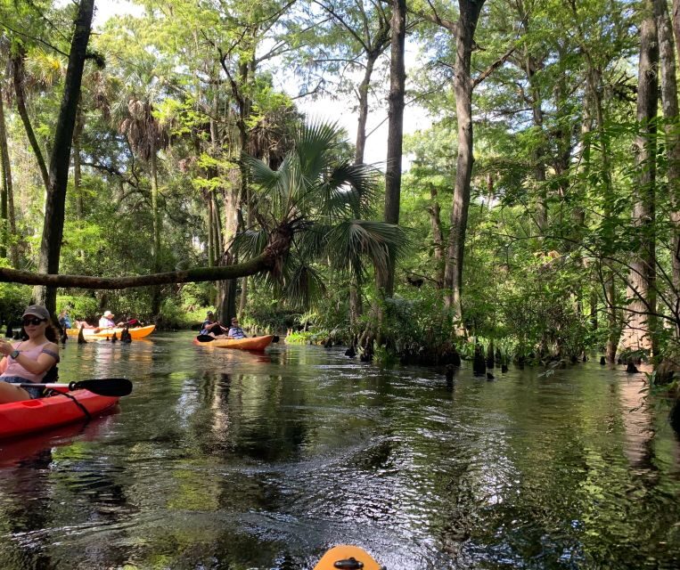 Jupiter: Wild and Scenic Loxahatchee River Kayak Tour - What to bring so you feel comfortable (and not miserable)