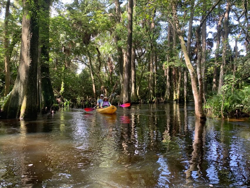 Jupiter: Wild and Scenic Loxahatchee River Kayak Tour - Two hours of shade: what the river section really feels like
