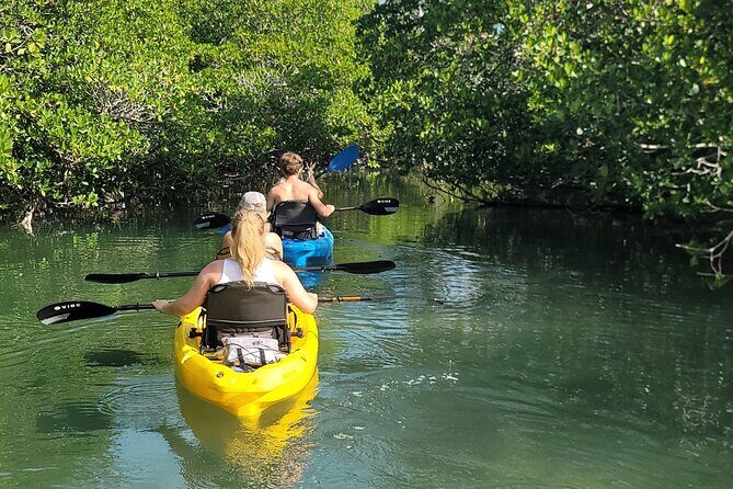 Kayak through Mangrove Forests in the Florida Keys - Mangrove Tunnels in Key Largo: What You’re Really Signing Up For