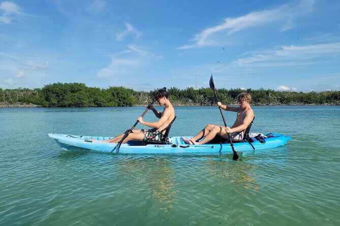 Kayak through Mangrove Forests in the Florida Keys - Under the Overseas Highway: Where the Pace Becomes Mangrove-Focused