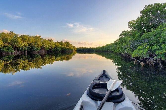 Kayak through Mangrove Forests in the Florida Keys - The Main Mangrove Experience: Quiet Tunnels, Iguanas, and Birds
