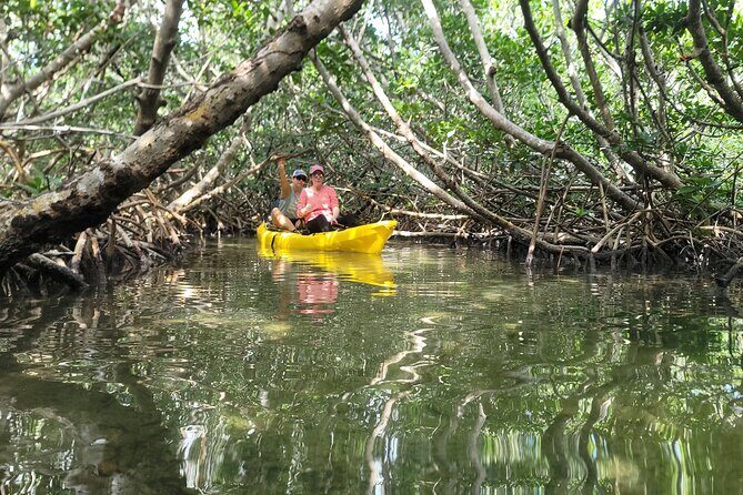 Kayak through Mangrove Forests in the Florida Keys - The Best Pause: Mangrove Break and Saltwater Lagoon Time
