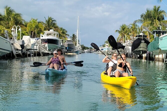 Kayak through Mangrove Forests in the Florida Keys - Wildlife Sightings: What You Can Expect (And What You Shouldn’t Assume)