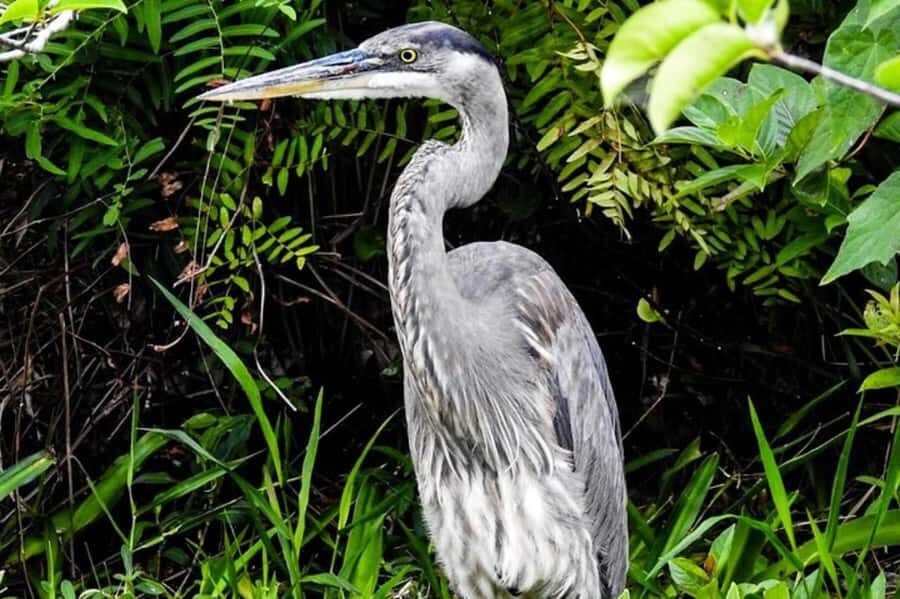 Key Largo: Boat Eco Tour - Reefhouse Resort and Marina: Your Starting Line in Key Largo