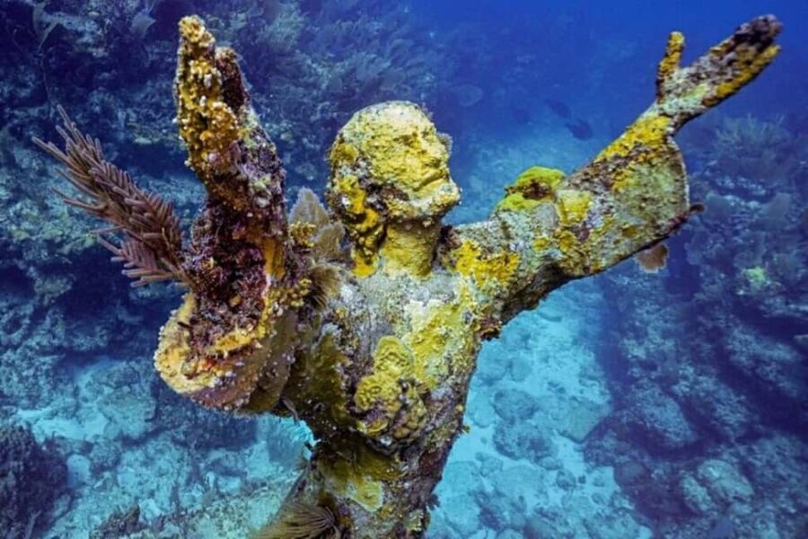 Key Largo: Snorkeling Trip - Snorkeling Key Largo’s only living tropical reef system