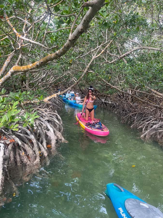 Key West: 2-hour Mangrove Kayak Tour - Entering the Mangrove Tunnels at Cow Key Marina