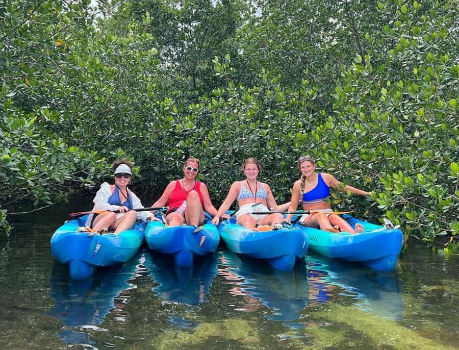 Key West: 2-hour Mangrove Kayak Tour - Wildlife Spotting: The Fun Part You Can’t Force