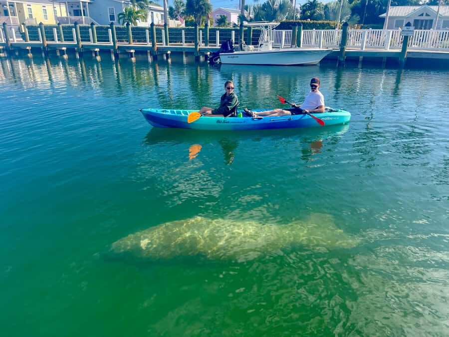Key West: 2-hour Mangrove Kayak Tour - What the Kayak Experience Feels Like (And Who It Suits)