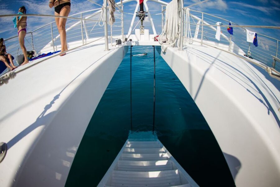 Key West: 2 Reef Snorkel With Sunset Cruise, Includes Drinks - Sunset Sail Over the Gulf: Unlimited Drinks and Unblocked Views