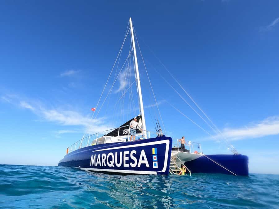 Key West: Catamaran Snorkel with Seafood Boil and Open Bar - Quick hits you’ll feel on day-of