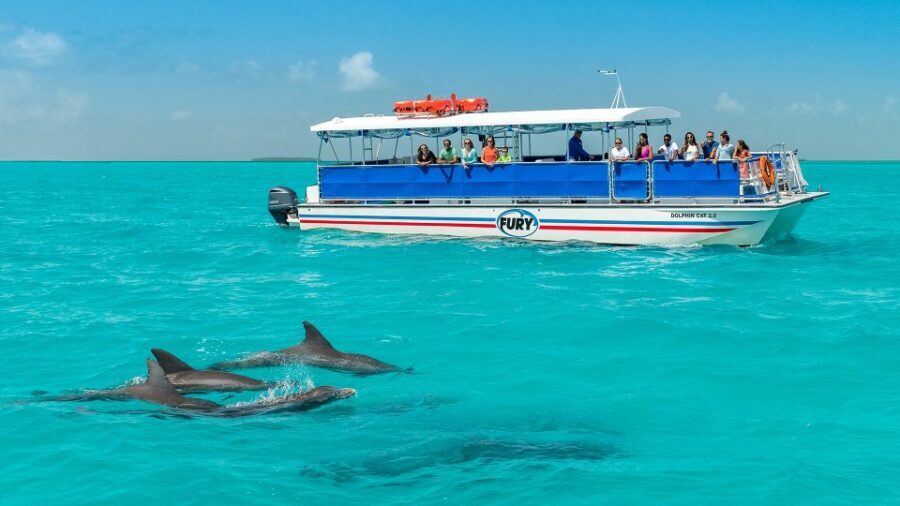Key West: Dolphin Watching and Snorkeling Eco Cruise Tour - Key points before you go