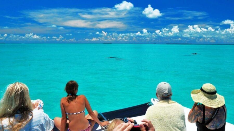 Key West: Dolphin Watching and Snorkeling Eco Cruise Tour - Why this Key West dolphin and snorkeling combo is worth your time