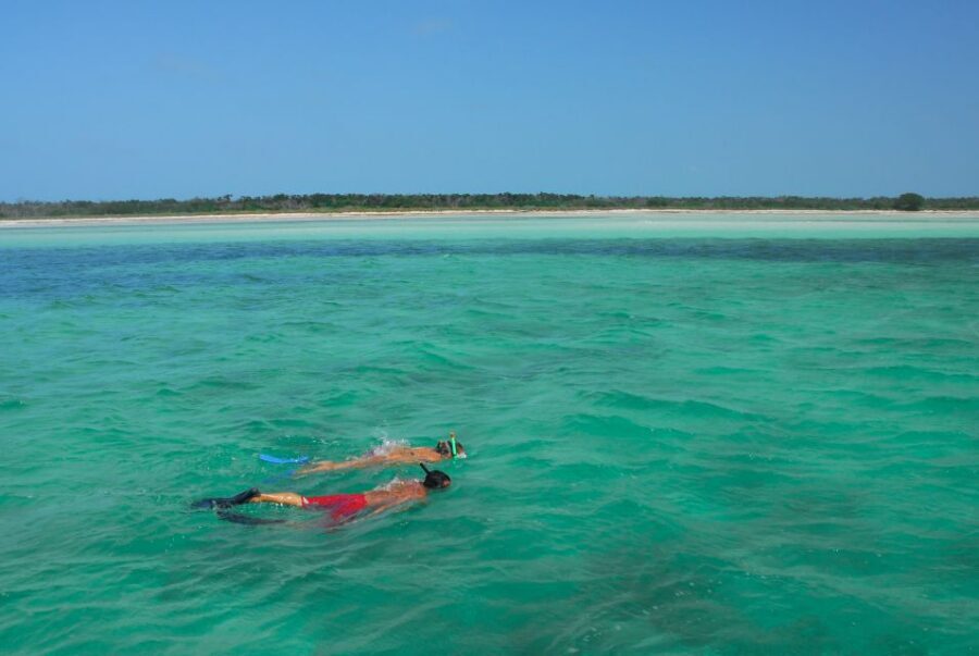 Key West: Dolphin Watching and Snorkeling Eco Cruise Tour - Snorkeling in the Key West backcountry: coral, rays, and weather reality