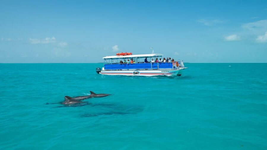 Key West: Dolphin Watching and Snorkeling Eco Cruise Tour - Price and value: what $79 buys you on this catamaran