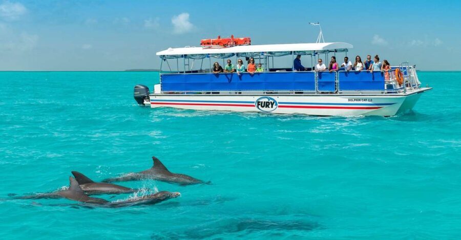 Key West: Dolphin Watching and Snorkeling Eco Cruise Tour - Practical checklist: what to bring and what to skip