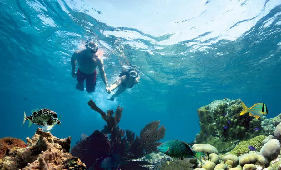 Key West Double Dip: 2-Stop Reef Snorkeling Trip - Entering Key West’s Only Living Coral Reef Twice