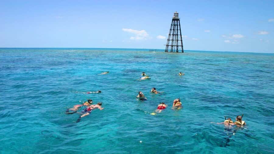 Key West Double Dip: 2-Stop Reef Snorkeling Trip - Stop One: Your First Reef Session and Getting Your Bearings