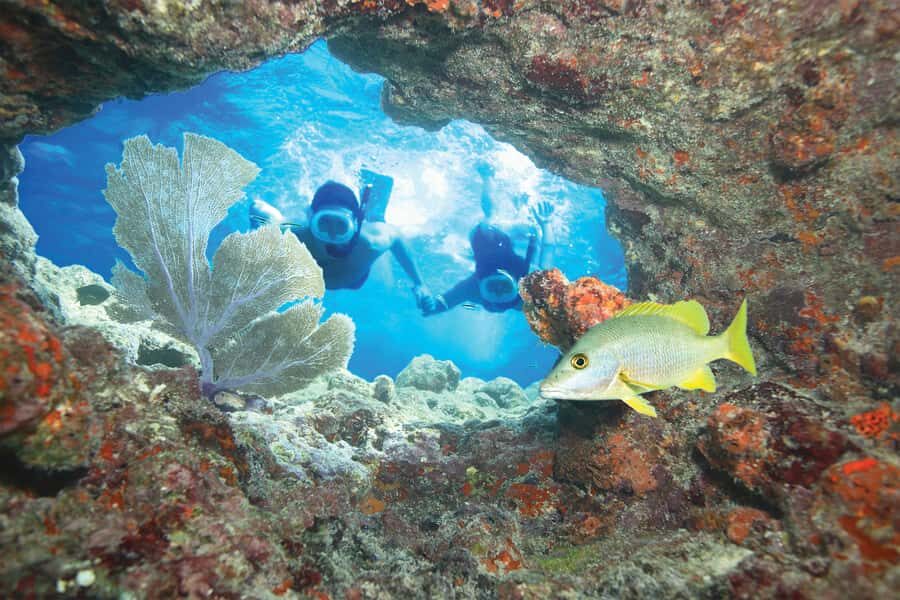 Key West Double Dip: 2-Stop Reef Snorkeling Trip - Gear and Instruction That Makes Snorkeling Feel Natural