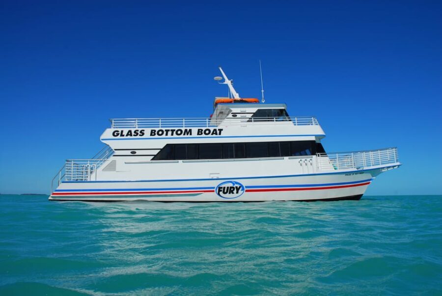 Key West: Glass Bottom Boat Reef Tour with Sunset Option - What the guides actually do for your reef experience