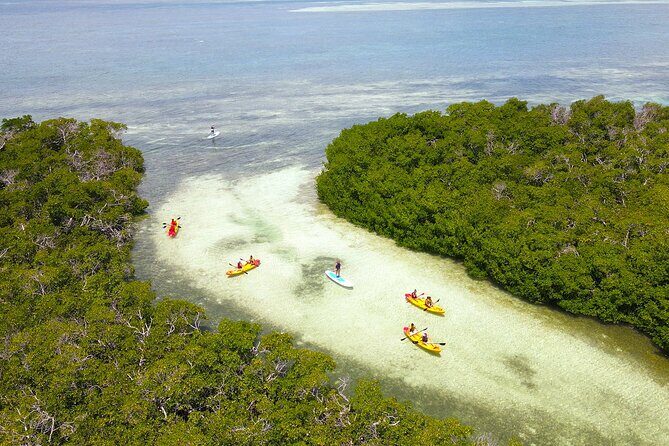 Key West Hidden Sanctuary Mangrove Kayak Tour With Drinks - Key Highlights You Should Know
