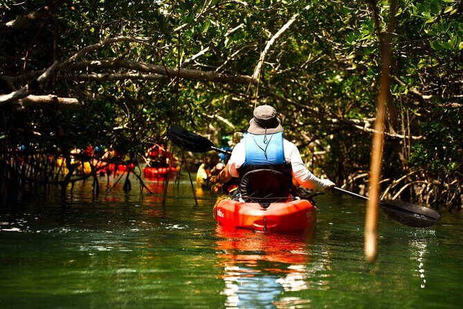 Key West Hidden Sanctuary Mangrove Kayak Tour With Drinks - Meet at 201 William St and Plan for a Half-Day Float
