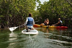 Key West Hidden Sanctuary Mangrove Kayak Tour With Drinks - Stop 1: Florida Keys National Marine Sanctuary for Close-Up Wildlife (About 1 Hour)